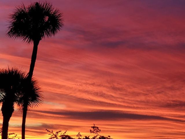 2400 S Ocean Drive 4322, Hutchinson Island, FL 34949