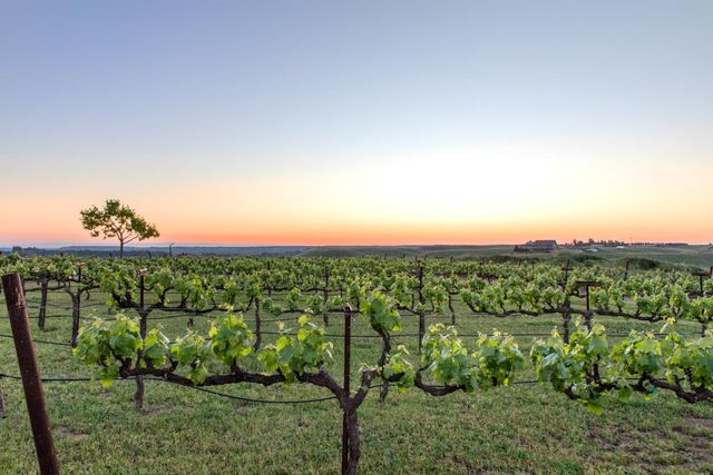 16641 Sonora Rd, Oakdale, CA 95361