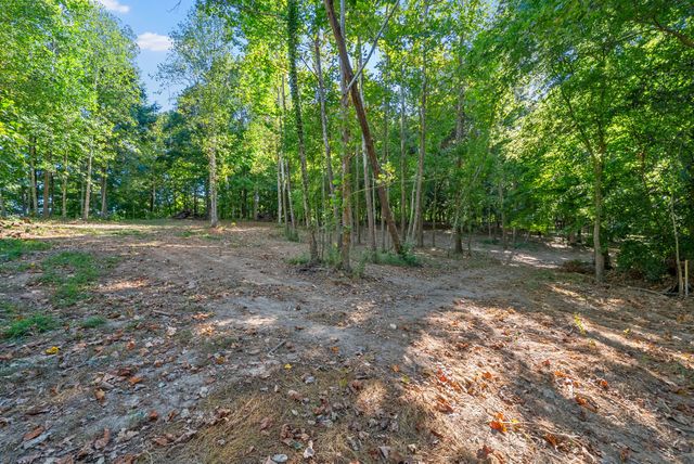 1539 Cedar Springs Cir, Clarksville, TN 37042