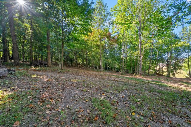 1539 Cedar Springs Cir, Clarksville, TN 37042