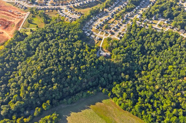 1539 Cedar Springs Cir, Clarksville, TN 37042