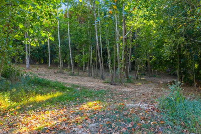 1539 Cedar Springs Cir, Clarksville, TN 37042