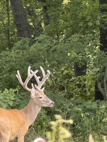 1539 Cedar Springs Cir, Clarksville, TN 37042