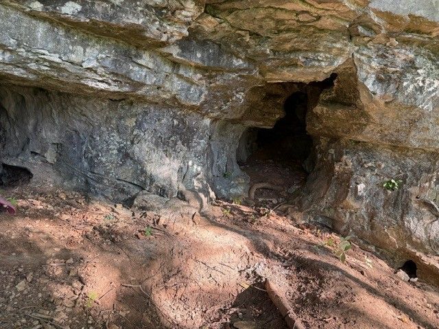 1539 Cedar Springs Cir, Clarksville, TN 37042