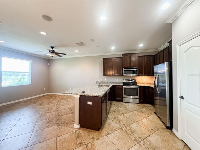 27015 JUNIPER BAY DRIVE, Wesley Chapel, FL 33544