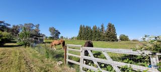 11430 Walnut Ave, Oakdale, CA 95361