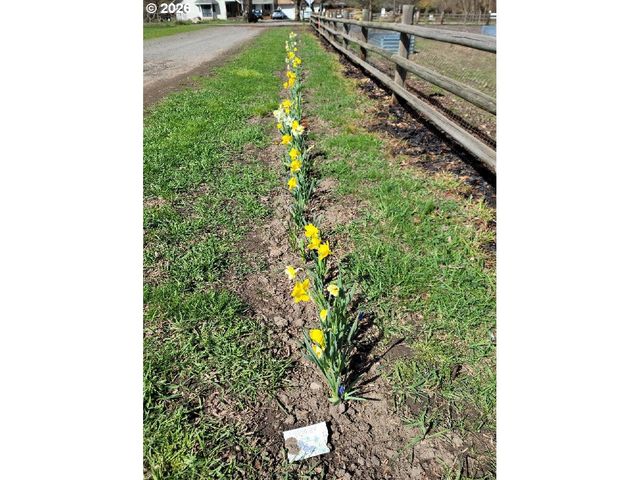 293 E IVY Ln, Union, OR 97883