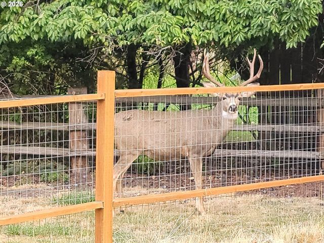 293 E IVY Ln, Union, OR 97883