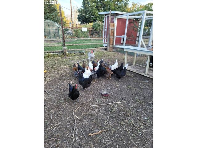 293 E IVY Ln, Union, OR 97883