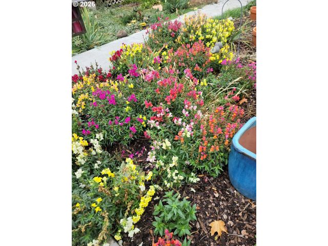 293 E IVY Ln, Union, OR 97883