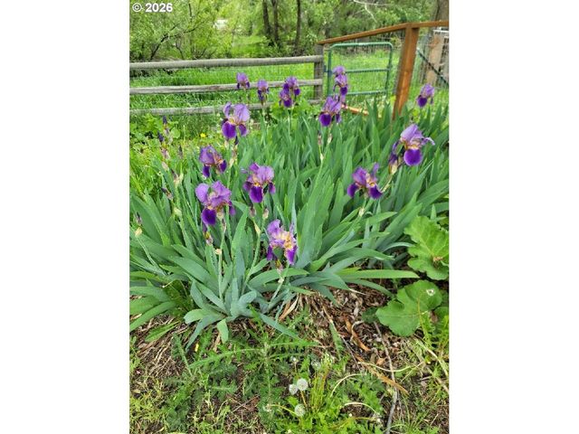 293 E IVY Ln, Union, OR 97883