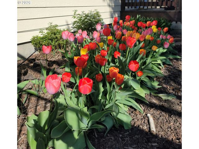 293 E IVY Ln, Union, OR 97883