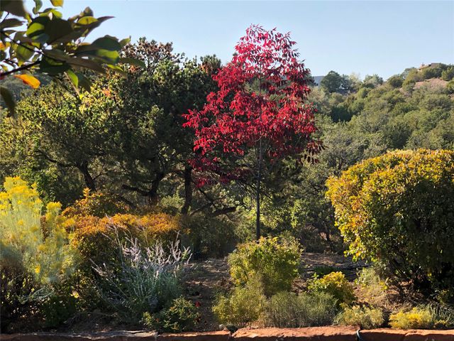 1055 Camino Real, Santa Fe, NM 87501