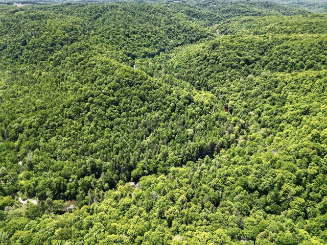 55236 Maynard Ridge Ln, Crawford, TN 38554