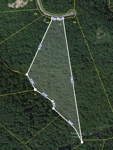 55236 Maynard Ridge Ln, Crawford, TN 38554