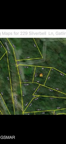 229 Silverbell Lane, Gatlinburg, TN 37738