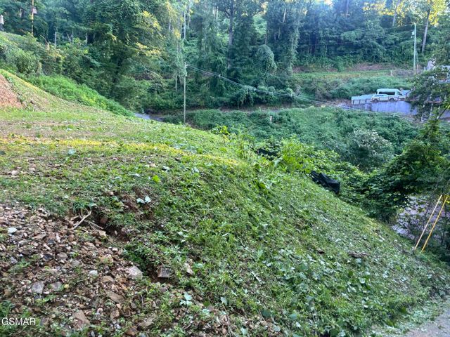 229 Silverbell Lane, Gatlinburg, TN 37738