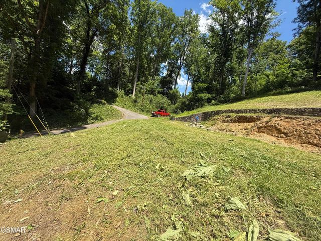 229 Silverbell Lane, Gatlinburg, TN 37738