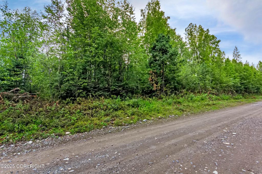 47100 S Bitin Drive, & 47118, Willow, AK 99688