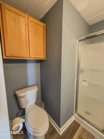 5254 S SANTA CLAUS Avenue, Sierra Vista, AZ 85650