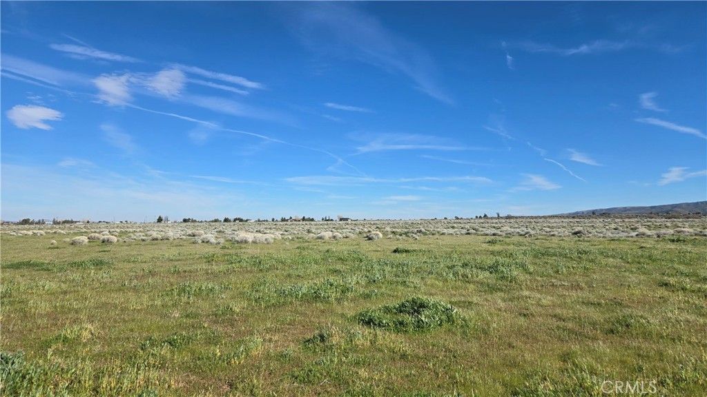 Image 23 of property listing at 0 Vicinity Ave B12 & 265th St W, Fairmont, CA 93536