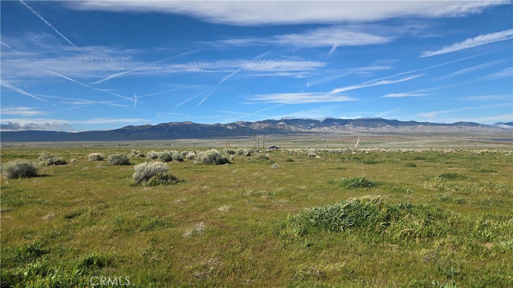 Image 30 of property listing at 0 Vicinity Ave B12 & 265th St W, Fairmont, CA 93536