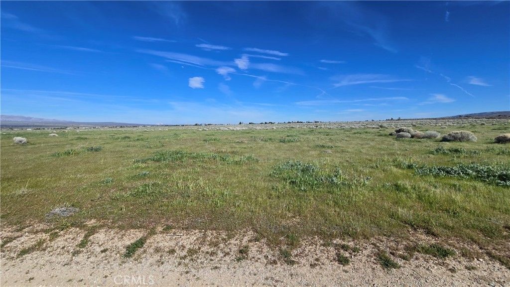 Image 3 of property listing at 0 Vicinity Ave B12 & 265th St W, Fairmont, CA 93536