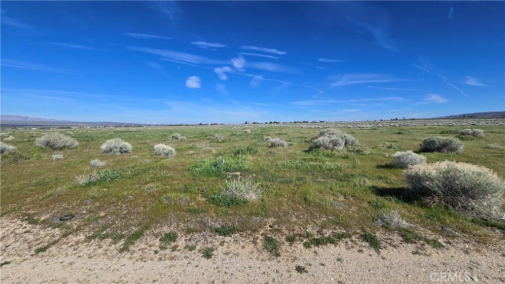 Image 6 of property listing at 0 Vicinity Ave B12 & 265th St W, Fairmont, CA 93536