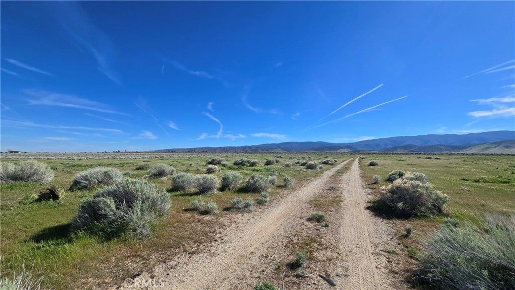 Image 7 of property listing at 0 Vicinity Ave B12 & 265th St W, Fairmont, CA 93536