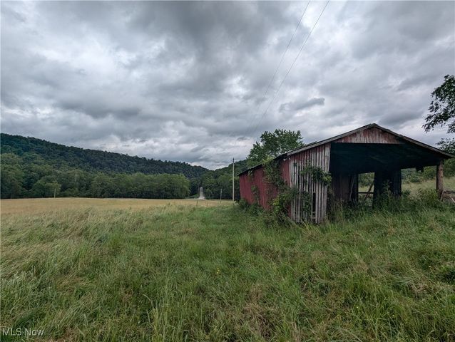 1388 Co Rd 53, Irondale, OH 43932