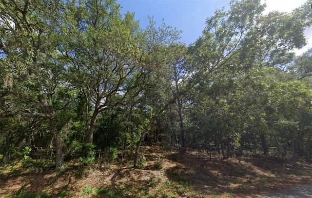 0 TODD TRAIL, Spring Hill, FL 34610