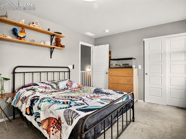 1536 McMurdo Trail, Castle Rock, CO 80108