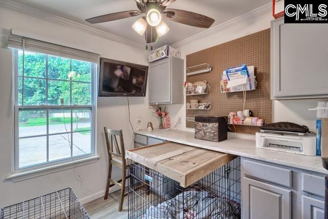 116 Firebridge Drive, Chapin, SC 29036