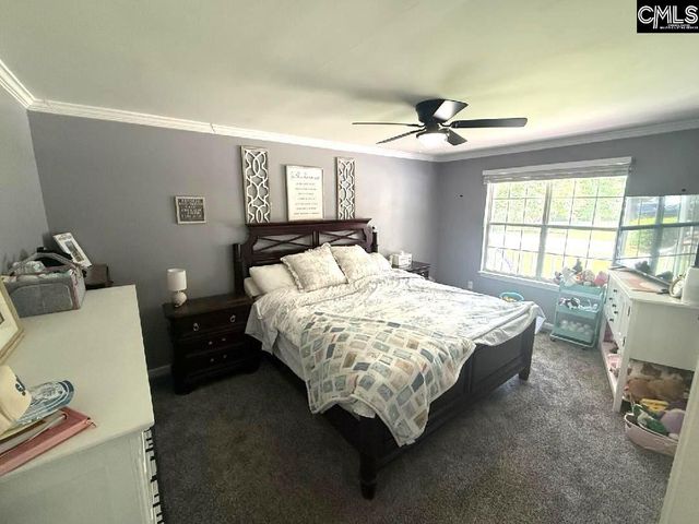 116 Firebridge Drive, Chapin, SC 29036