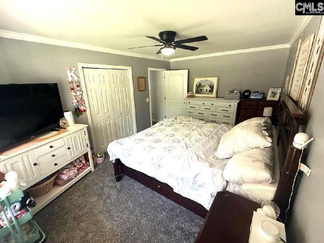 116 Firebridge Drive, Chapin, SC 29036