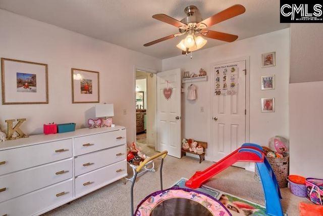116 Firebridge Drive, Chapin, SC 29036