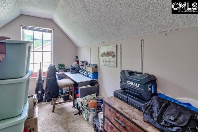116 Firebridge Drive, Chapin, SC 29036