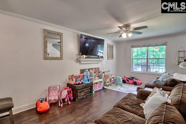 116 Firebridge Drive, Chapin, SC 29036