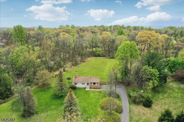 9 Symonds Lane, Lebanon Twp., NJ 08826