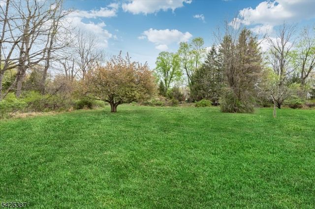 9 Symonds Lane, Lebanon Twp., NJ 08826