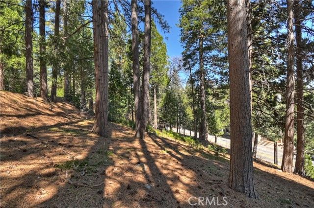 170 Fairway, Lake Arrowhead, CA 92352
