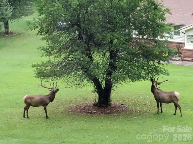 7 Higel Lane, Maggie Valley, NC 28751