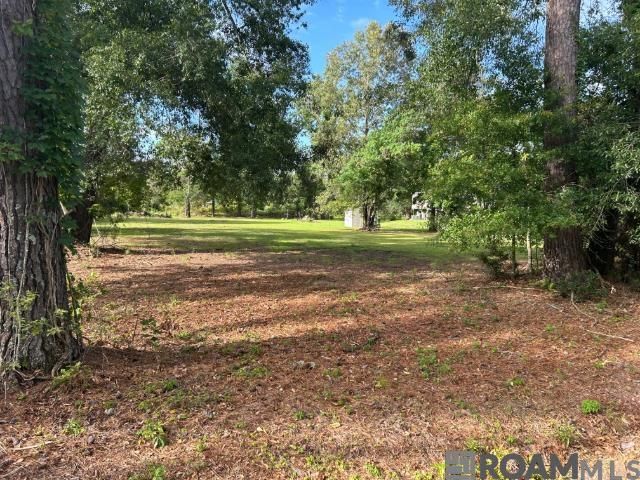 18376 Leo Causey Rd, Prairieville, LA 70769