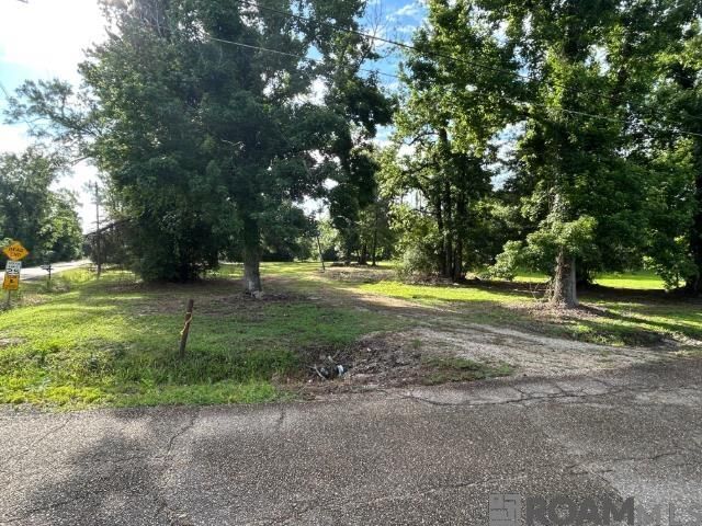 18376 Leo Causey Rd, Prairieville, LA 70769