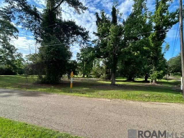 18376 Leo Causey Rd, Prairieville, LA 70769