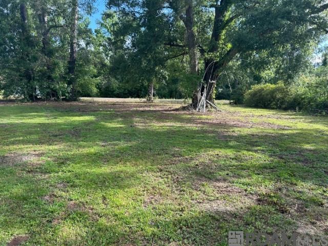 18376 Leo Causey Rd, Prairieville, LA 70769
