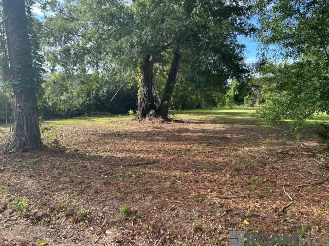 18376 Leo Causey Rd, Prairieville, LA 70769