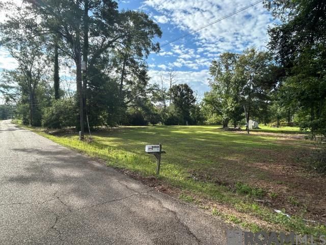 18376 Leo Causey Rd, Prairieville, LA 70769