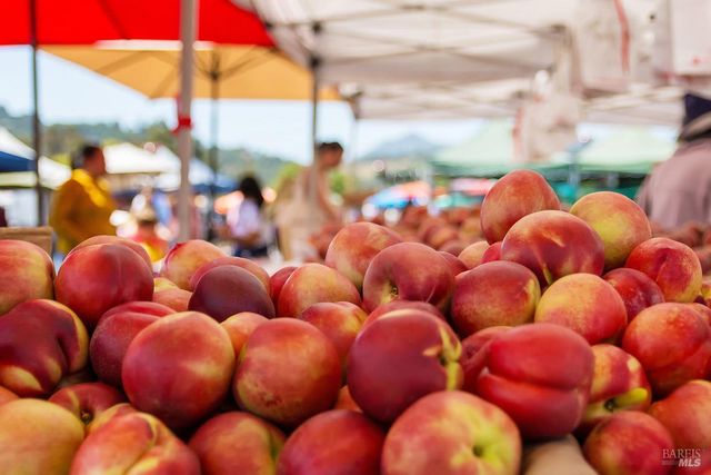 1100 Bayhills Dr, San Rafael, CA 94903