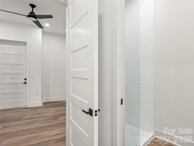 123 Haywood Street 203, Asheville, NC 28801